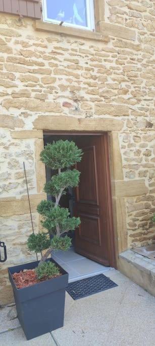 Le gîte des Pierres Dorées Marcilly-d'Azergues Esterno foto