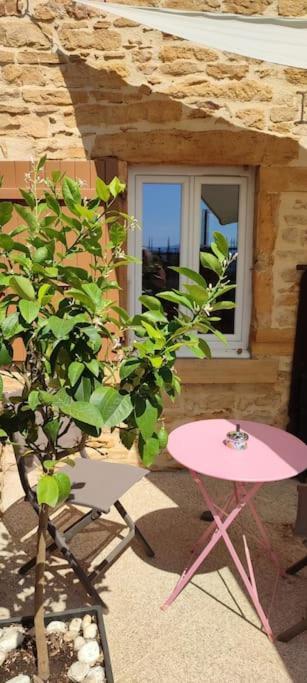 Le gîte des Pierres Dorées Marcilly-d'Azergues Esterno foto